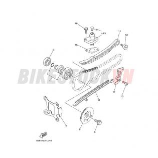 CAMSHAFT & CHAIN