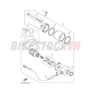 STARTING MOTOR