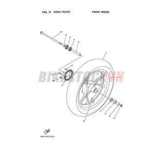 FIG-21_BÁNH TRƯỚC