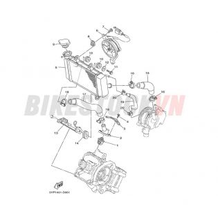 RADIATOR & HOSE (2S48/49/5YP7/P8)