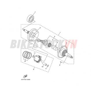 CRANKSHAFT & PISTON(2S53/54)