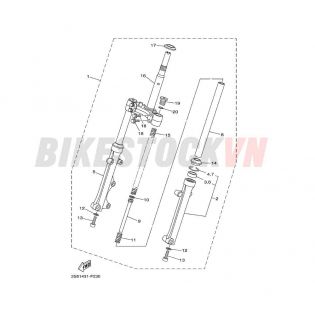 FRONT FORK (2S53/54)