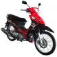 SHOGUN125 (2010) TH