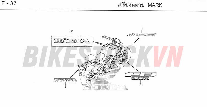 F-37_TEM