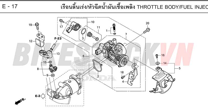 E-17_BỘ HỌNG GA