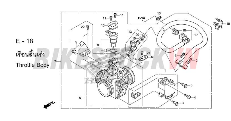 E18_BỘ HỌNG GA