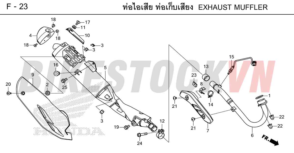 HONDA-CRF300-2025-TH-F-23.jpg