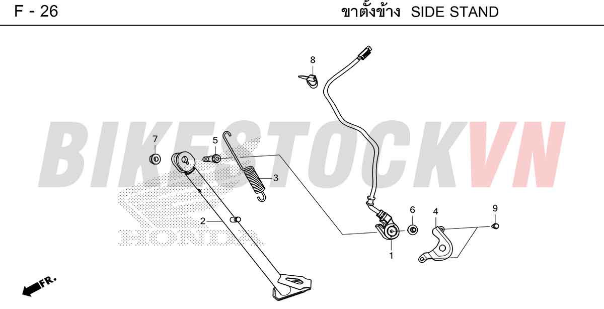 HONDA-CRF300-2025-TH-F-26.jpg
