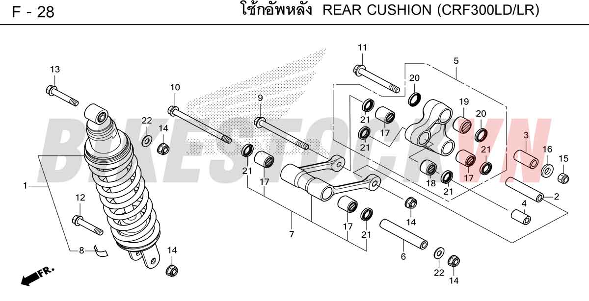 HONDA-CRF300-2025-TH-F-28.jpg