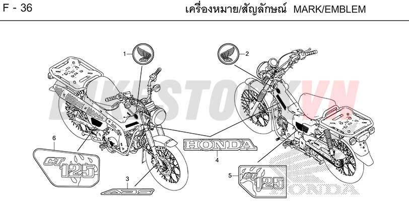 F36_TEM/MÁC XE