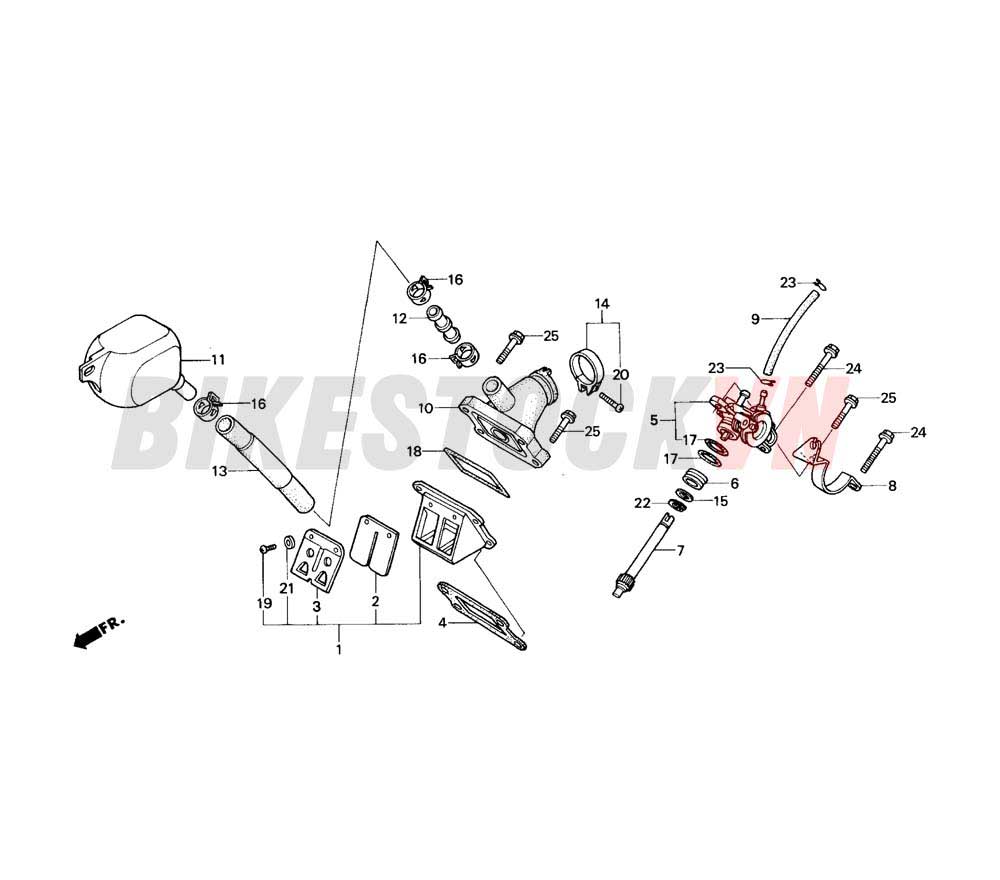 OIL PUMP/REED VALVE