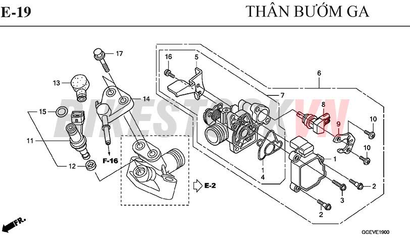 E-19_BỘ BƯỚM GA