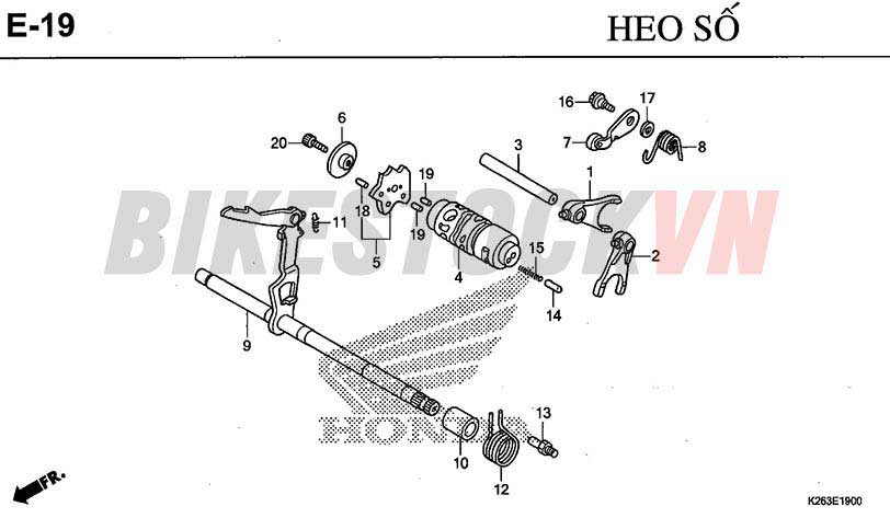 E19_HEO SỐ