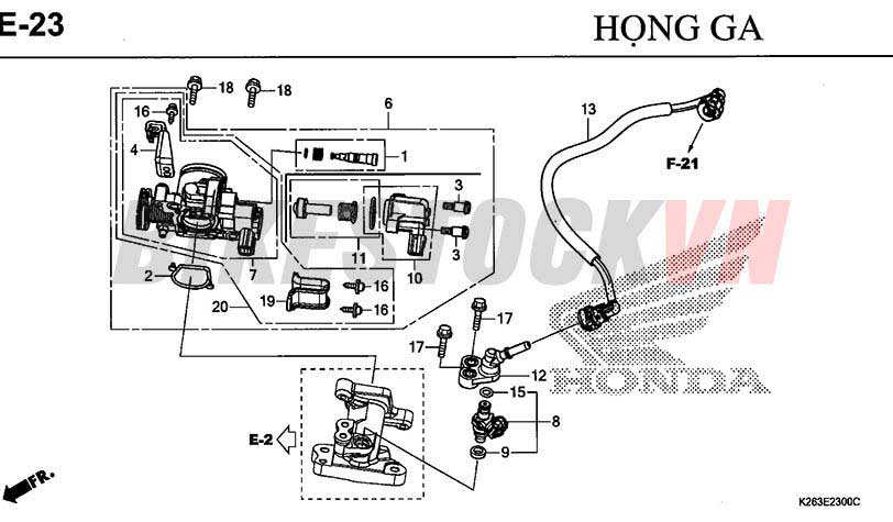 E23_HỌNG GA