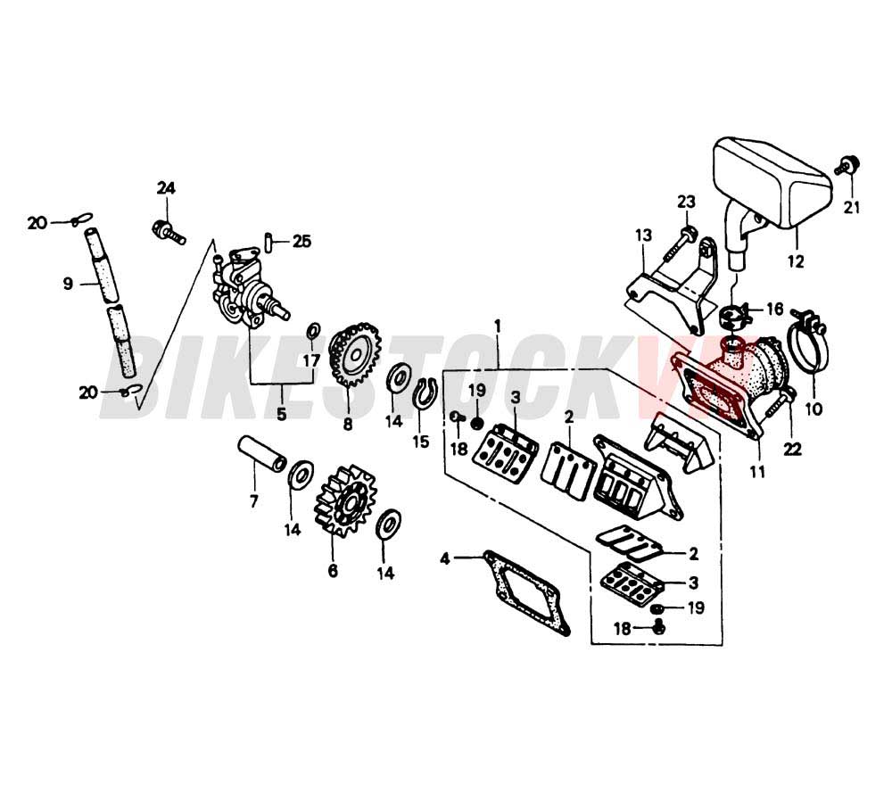 OIL PUMP/REED VALVE