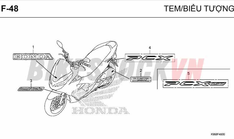 F48_TEM/ BIỂU TƯỢNG