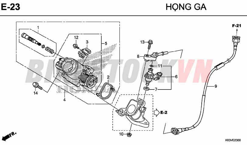 E23_HỌNG GA