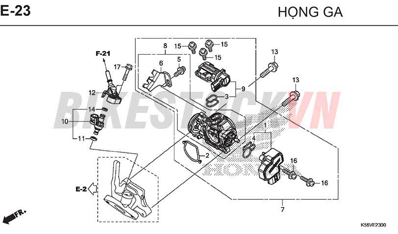 E23_BỘ HỌNG GA