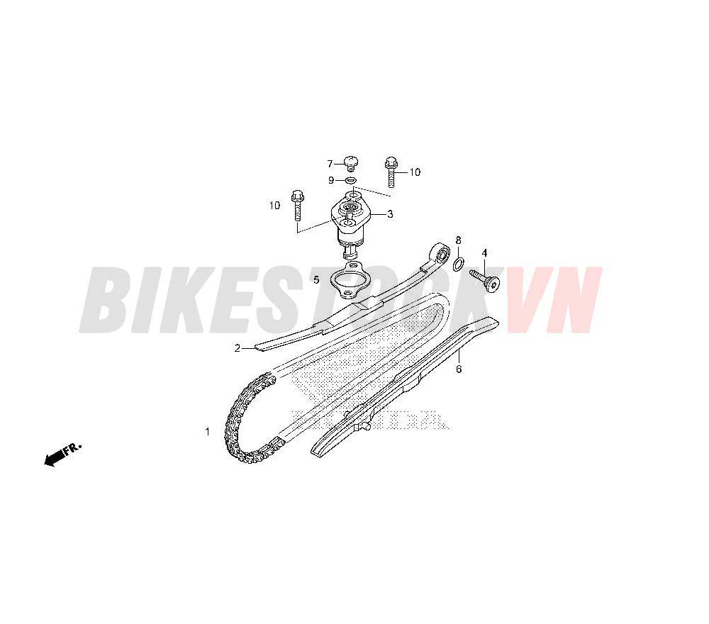 CAM CHAIN/TENSIONER