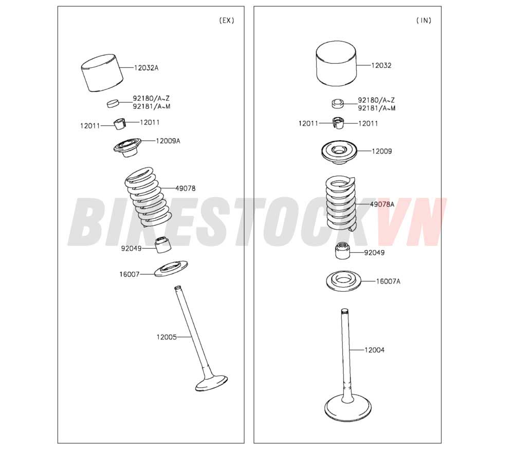 ENGINE VALVE(S)