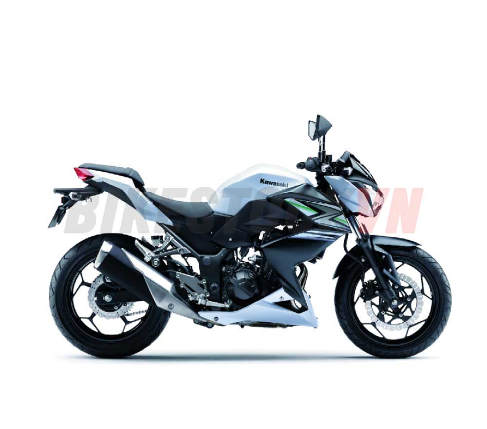 ER250CEF PEARL STARDUST WHITE(25Y)