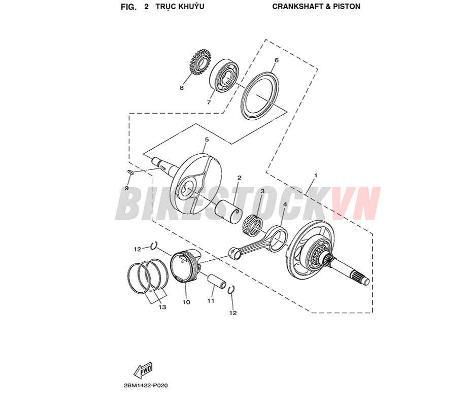 FIG-2_TRỤC KHUỶU