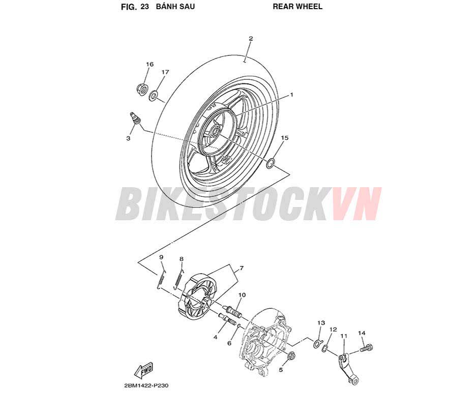 FIG-23_BÁNH SAU