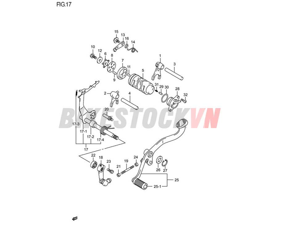 FIG-17_HEO SỐ