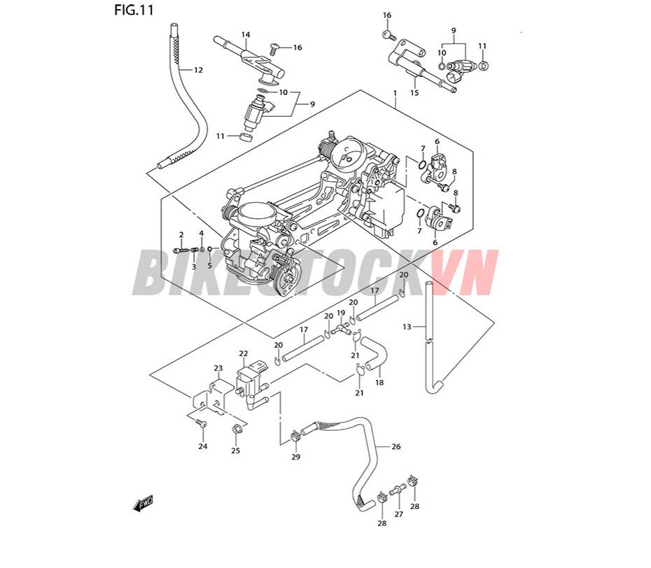 FIG-11_BỘ HỌNG GA