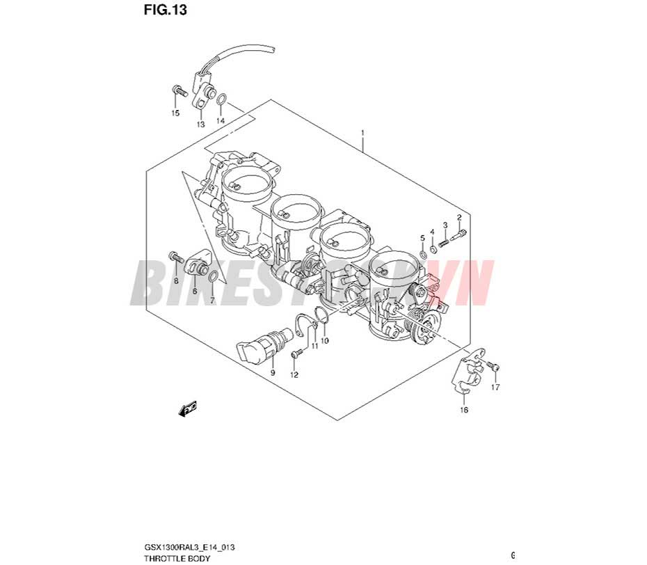 FIG-13_BỘ HỌNG GA