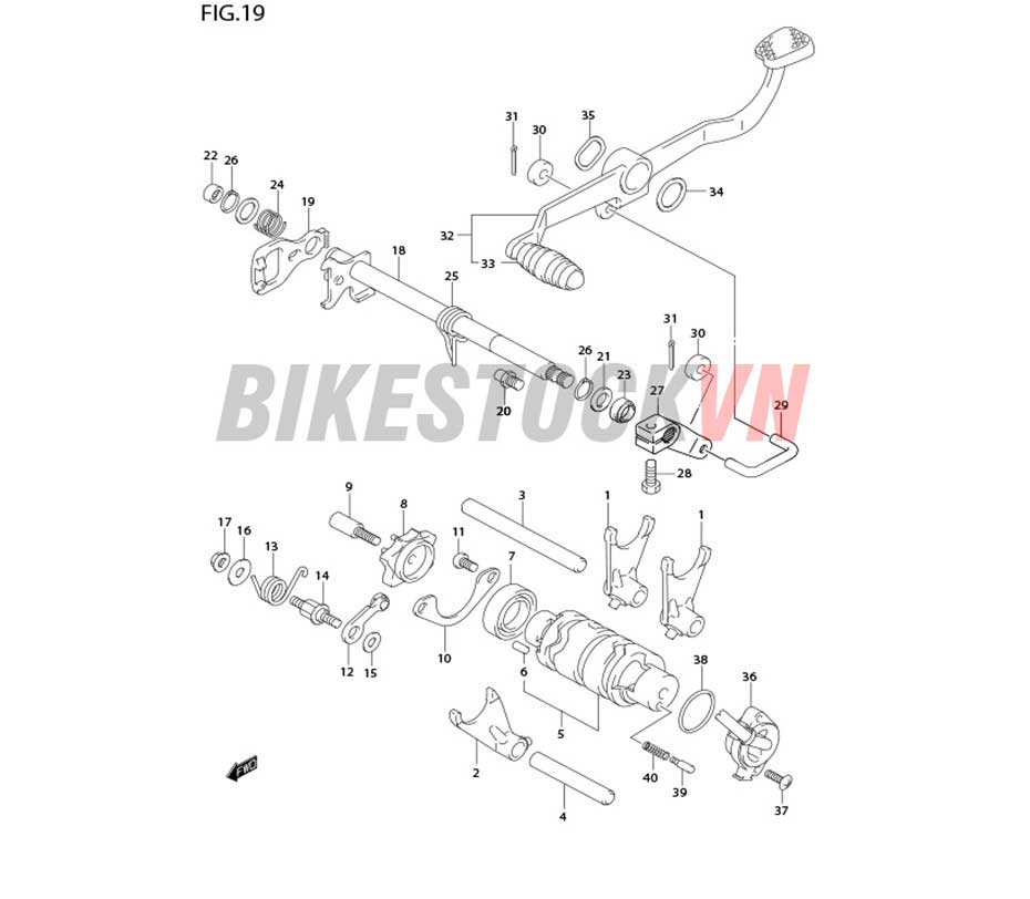 FIG-19_HEO SỐ