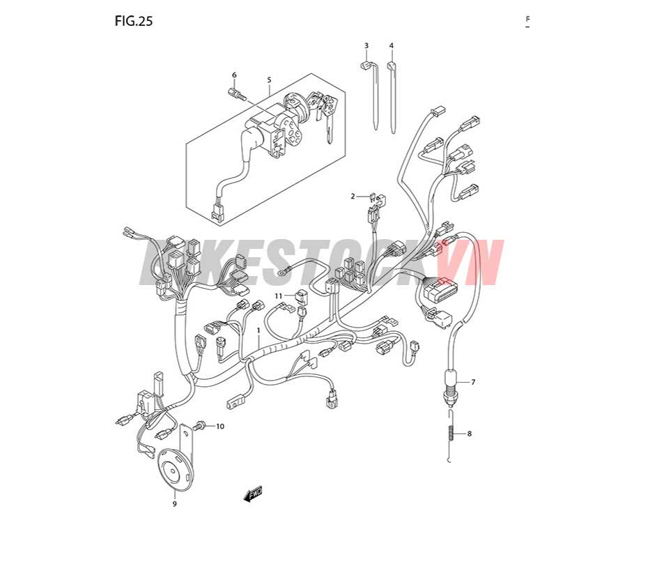 FIG-25_BÓ DÂY