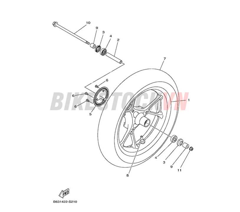 FIG-21_BÁNH TRƯỚC