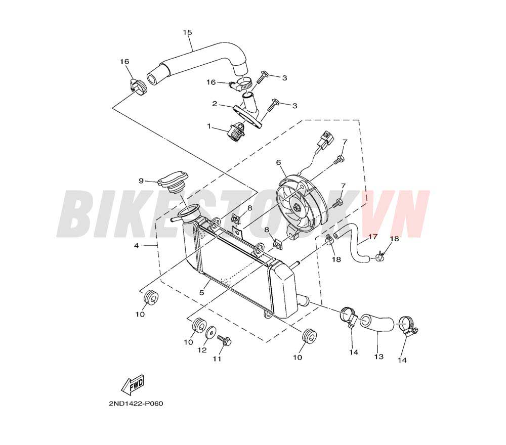 RADIATOR & HOSE