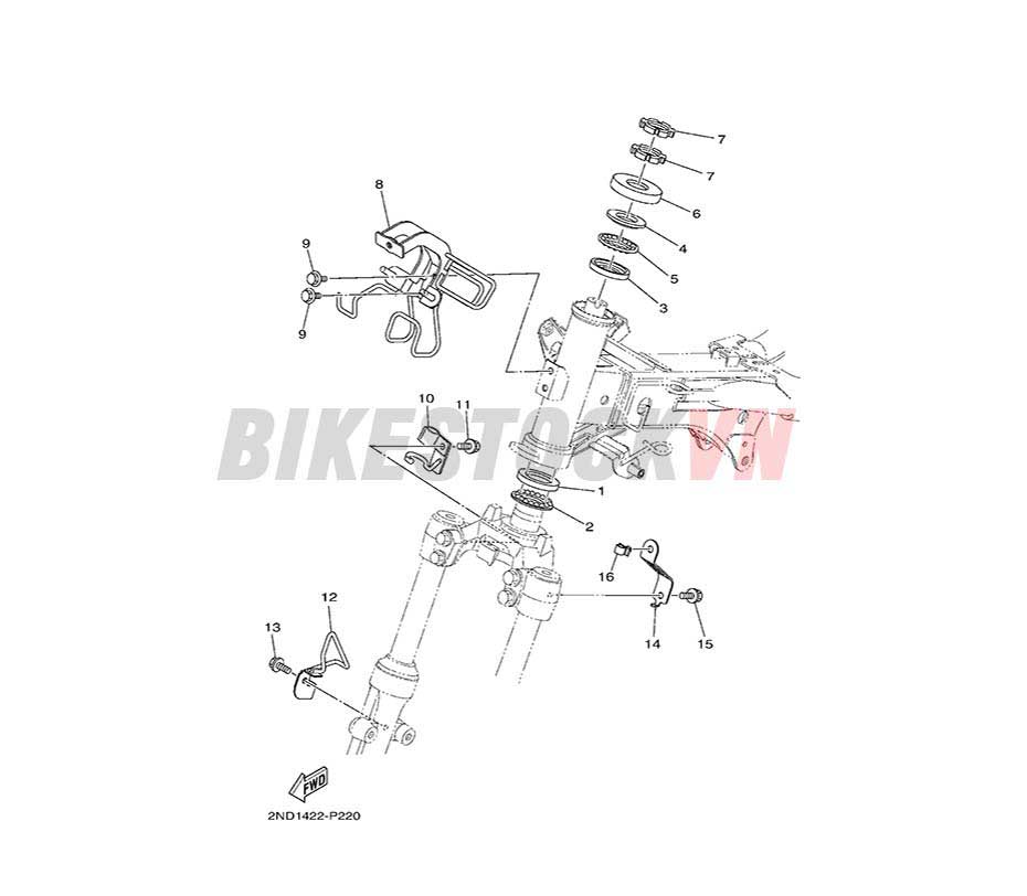 FIG-22_CỤM CÀNG TRƯỚC