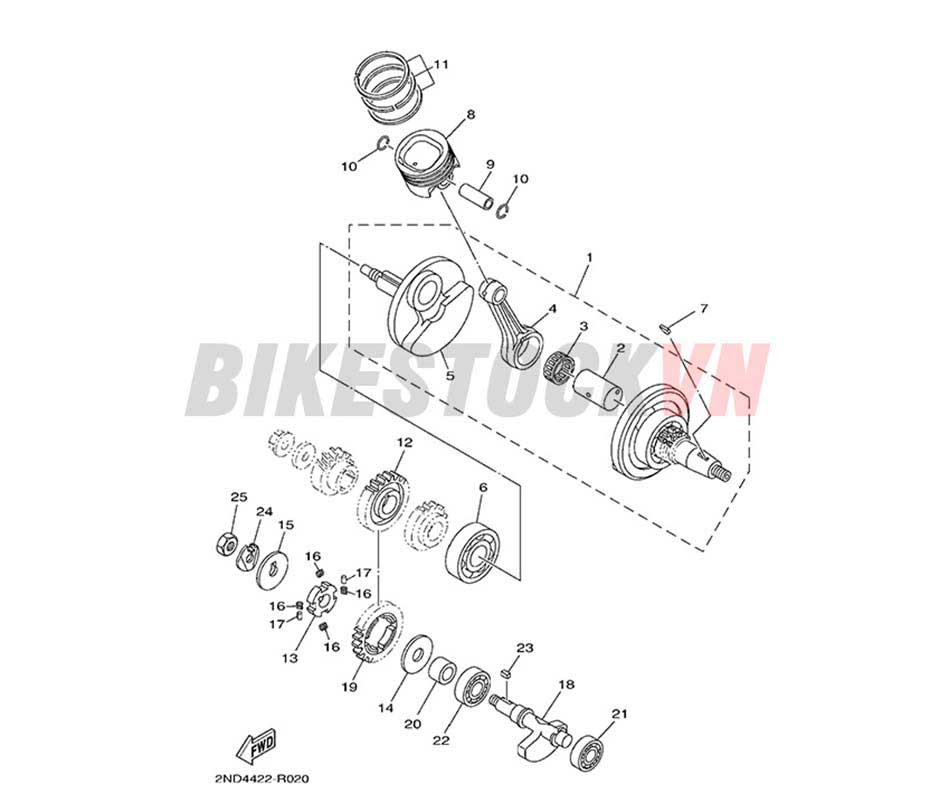 FIG-2_TRỤC KHUỶU