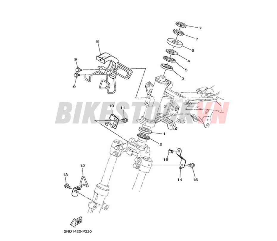 FIG-21_CỤM CÀNG TRƯỚC