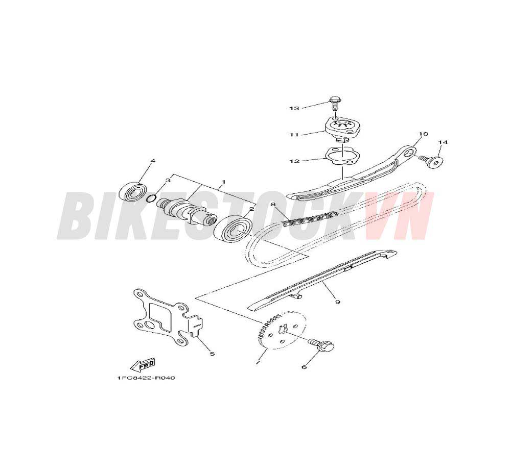 CAMSHAFT & CHAIN