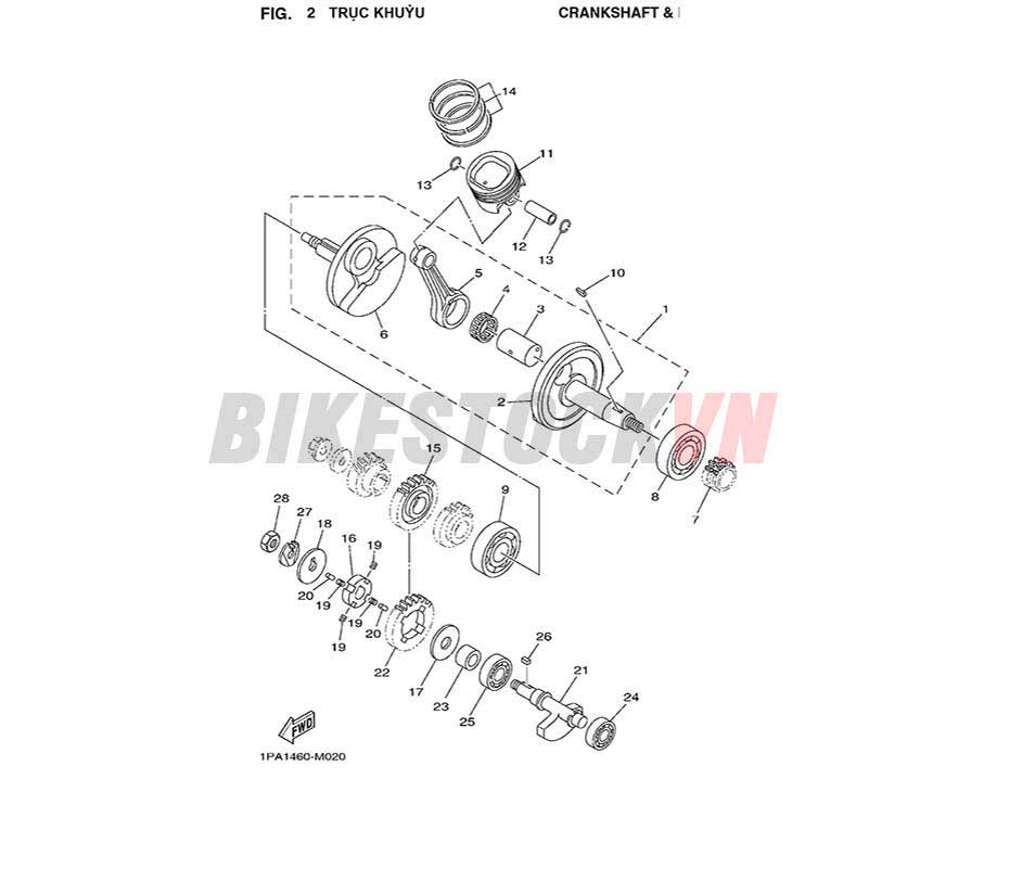 FIG-2_TRỤC KHUỶU