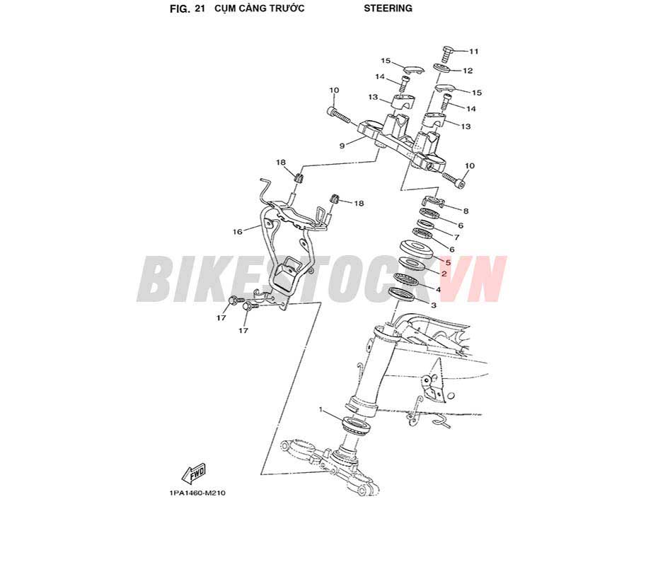 FIG-21_CỤM CÀNG TRƯỚC