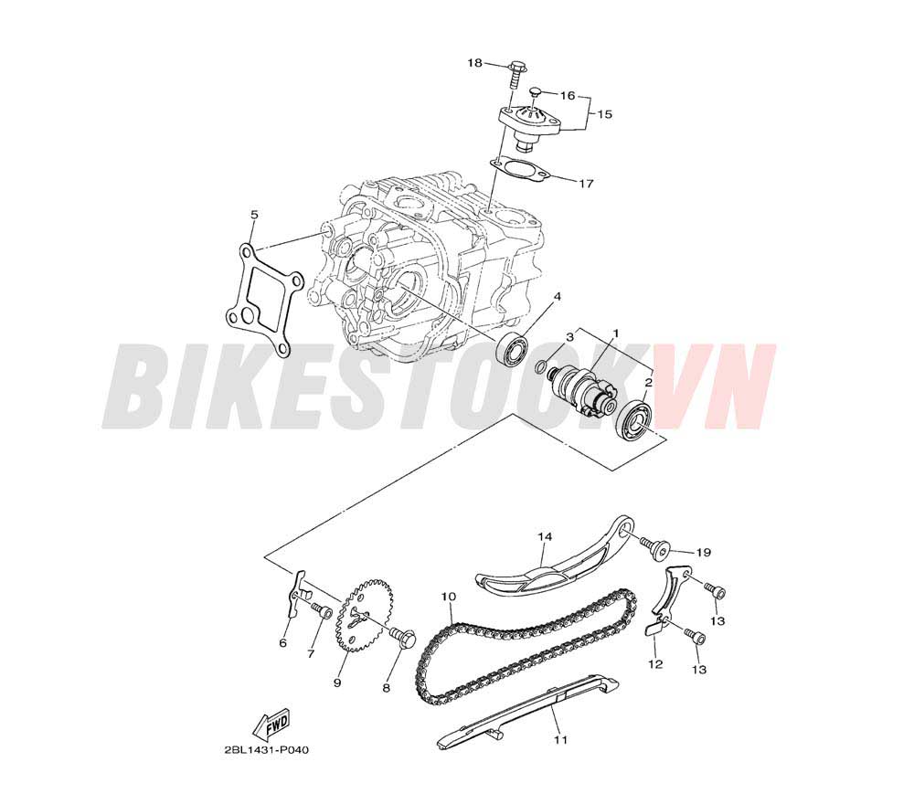 CAMSHAFT & CHAIN