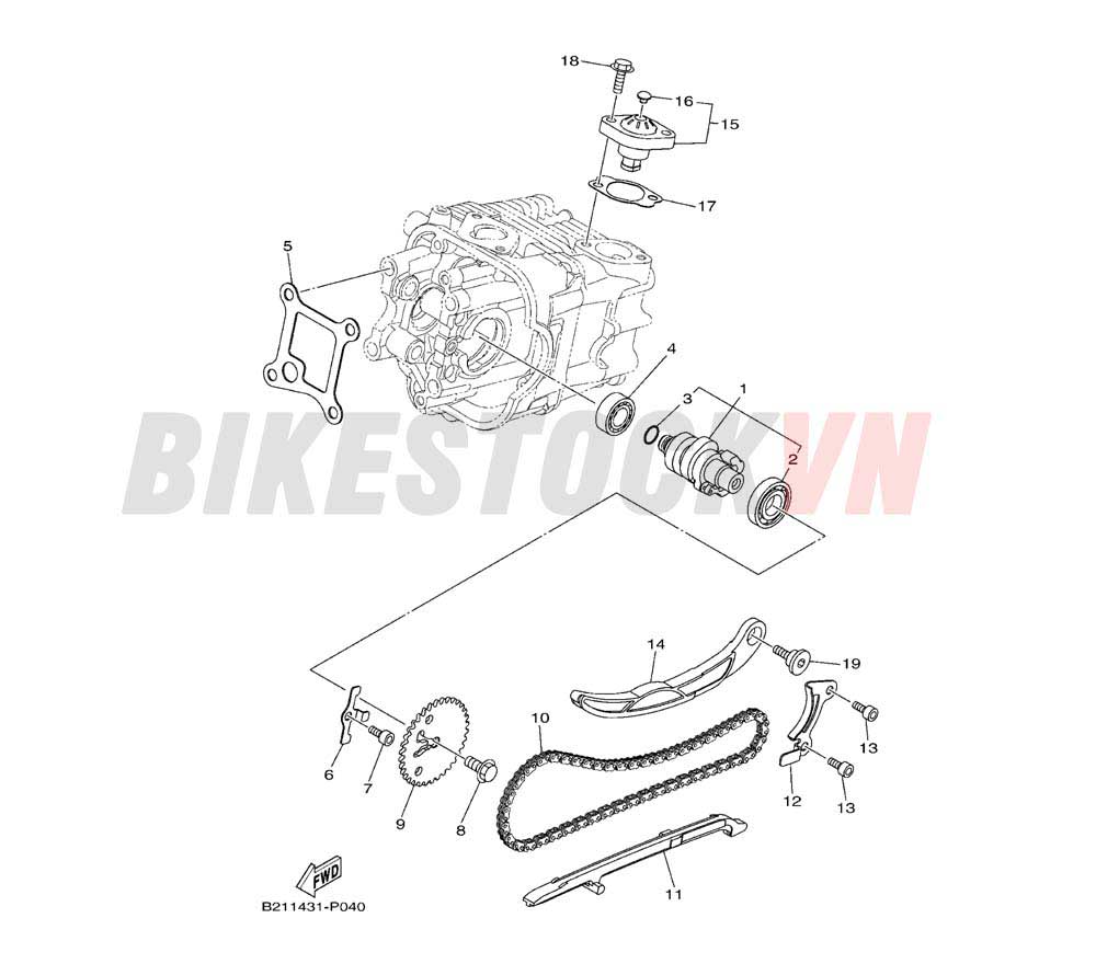 CAMSHAFT & CHAIN