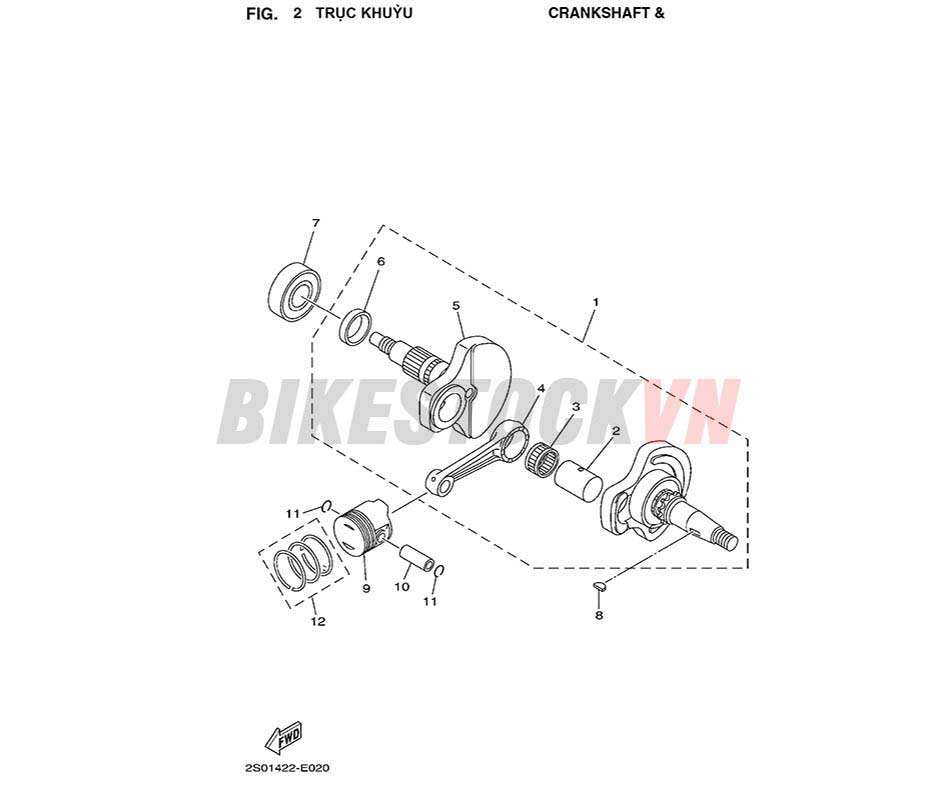 FIG-2_TRỤC KHUỶU