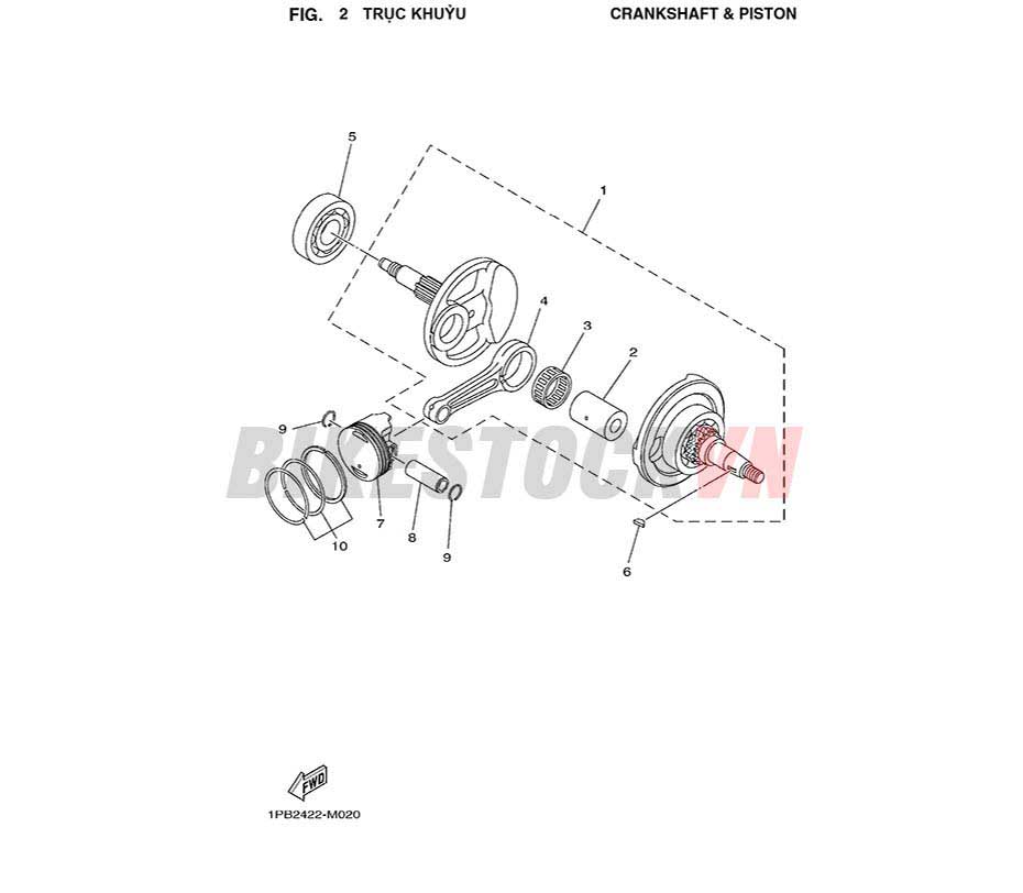 FIG-2_TRỤC KHUỶU