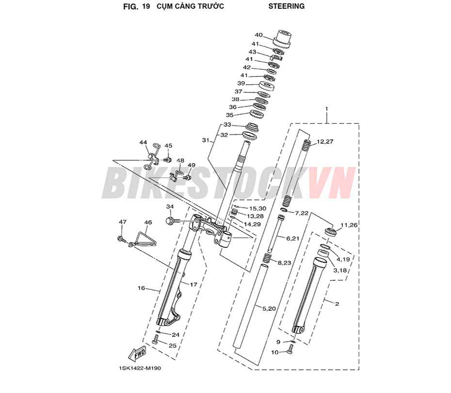 FIG-19_CỤM CÀNG TRƯỚC