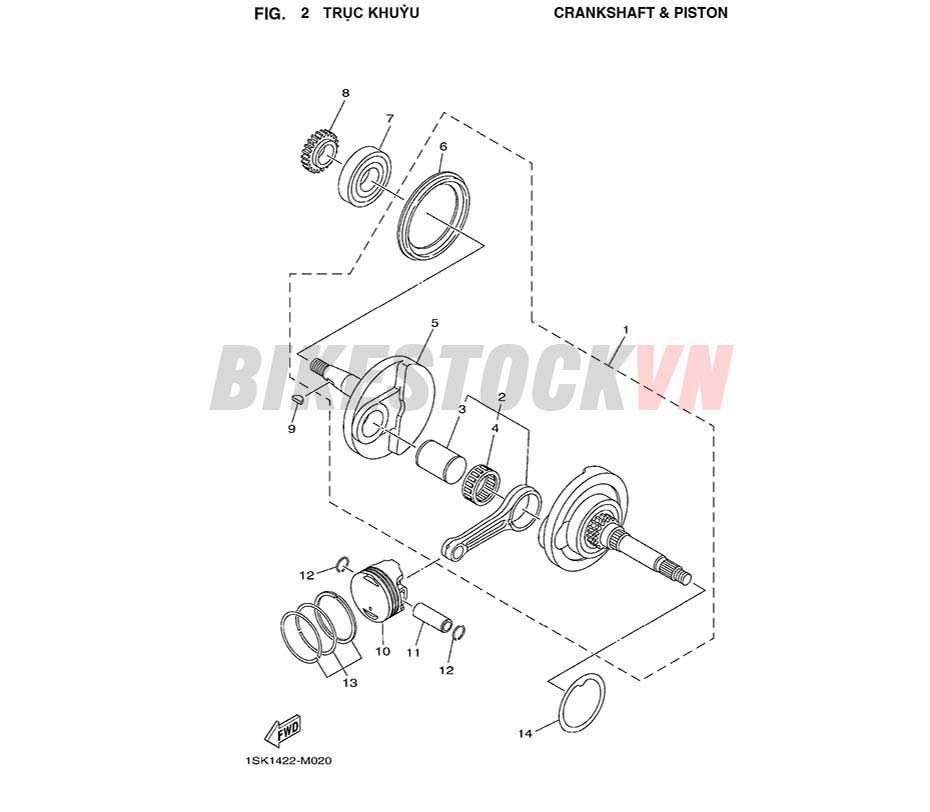 FIG-2_TRỤC KHUỶU