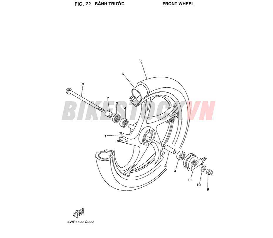 FIG-22_BÁNH TRƯỚC