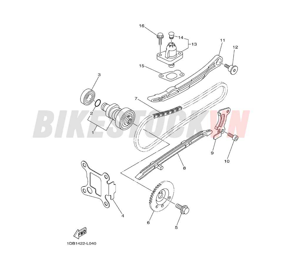 CAMSHAFT & CHAIN