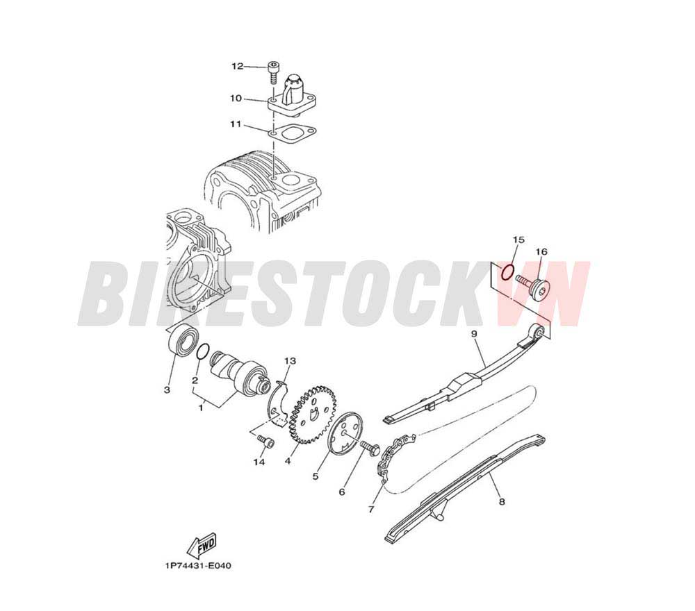 CAMSHAFT & CHAIN (4C95/96)