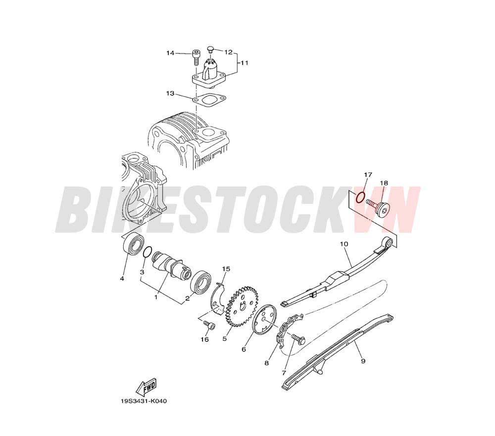 CAMSHAFT & CHAIN